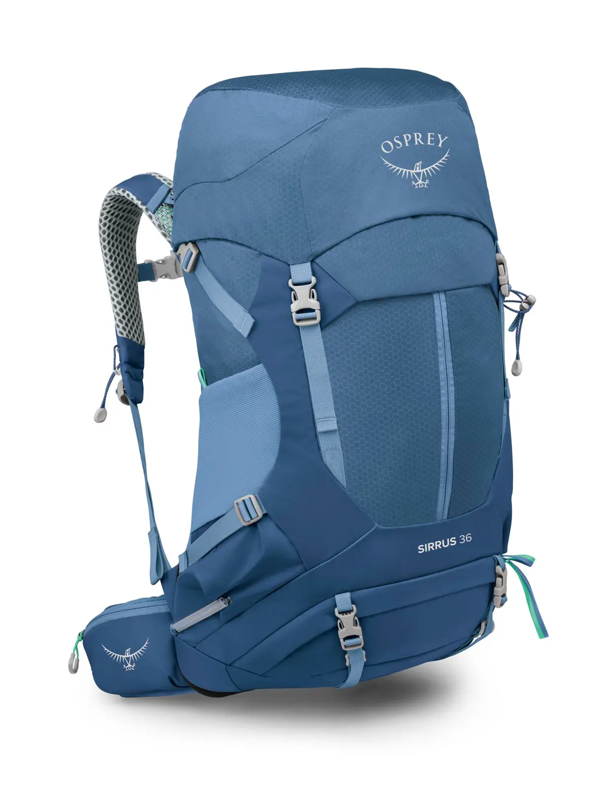 シラス36 セーブルスブルー