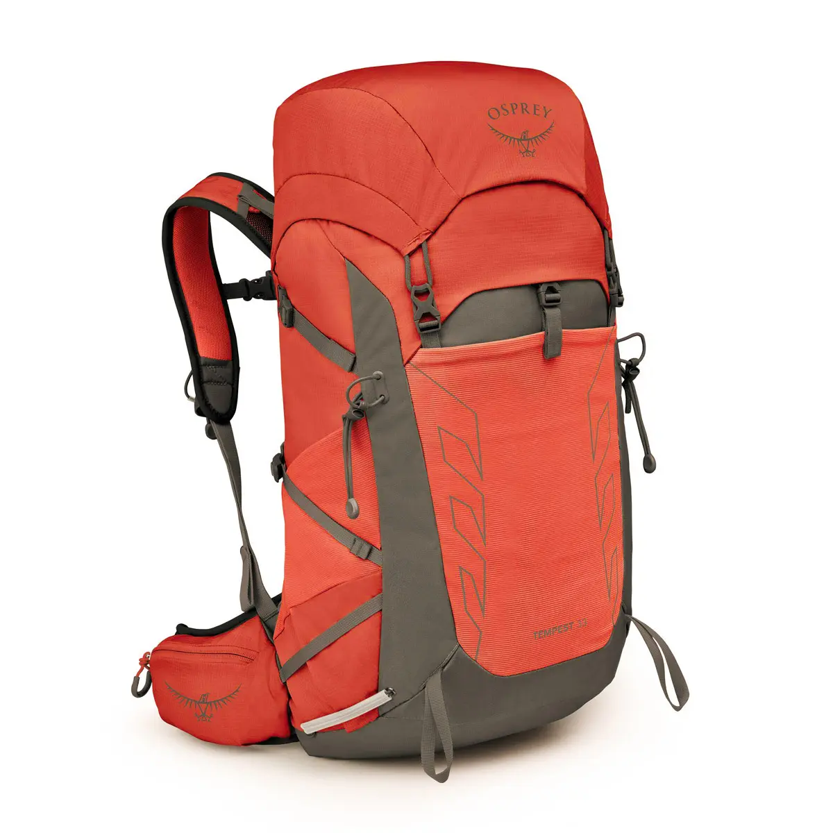 テンペスト33 レッドパンパス/コーラルグレー