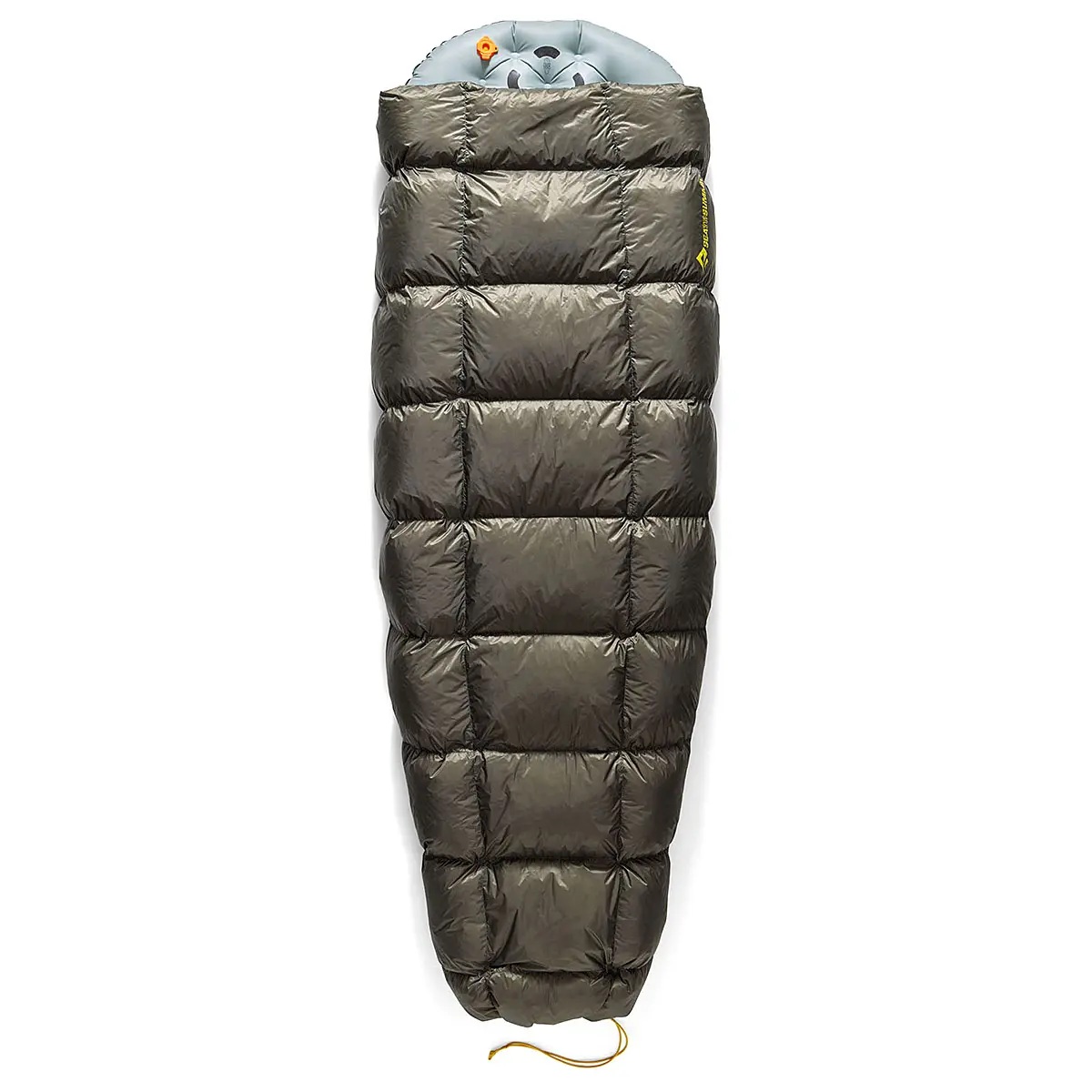 エンバー7C レギュラー