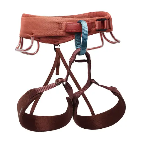 モーメンタム ウィメンズ