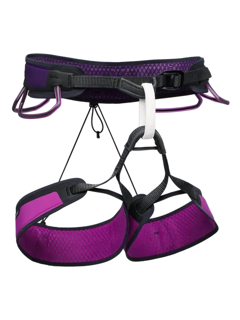 ウィメンズ ゾーン