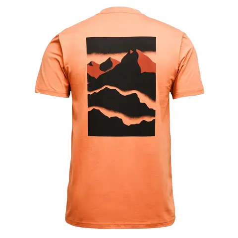 メンズ マウンテンスケープティー