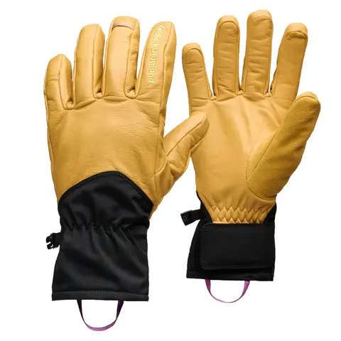 ツアーグローブ