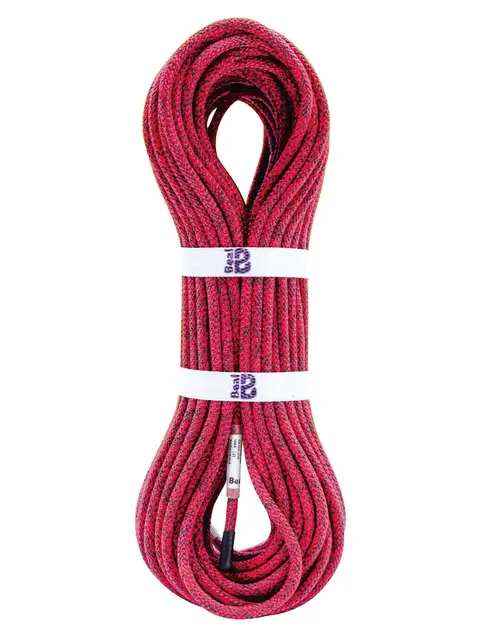 5mmバックアップライン