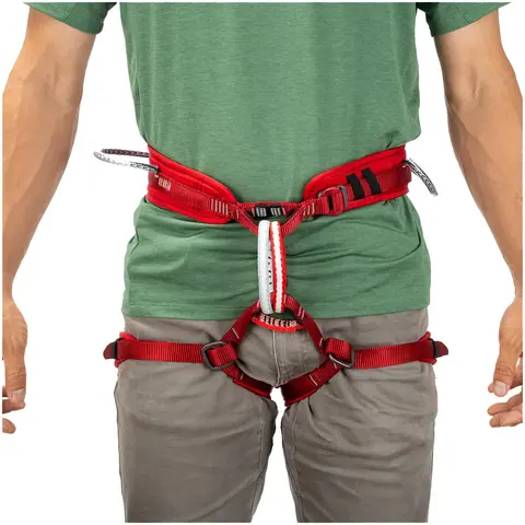 セーフテックトラッド