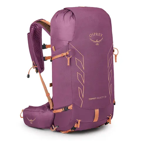 テンペストベロシティ30