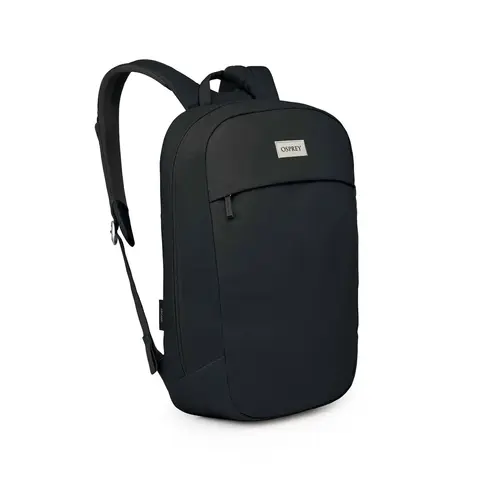 アーケインラージデイ