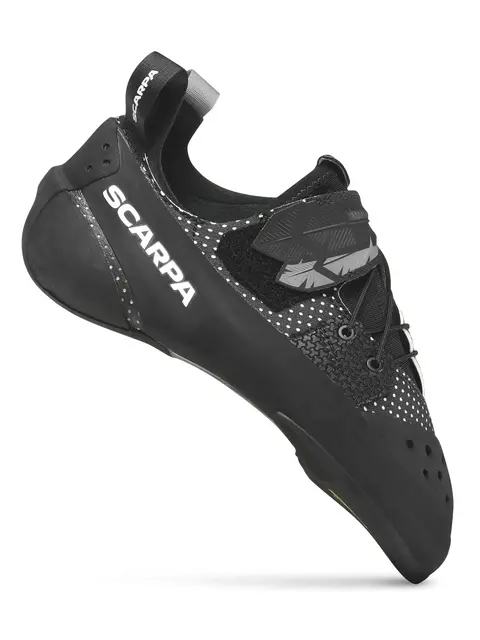 ブラックバード