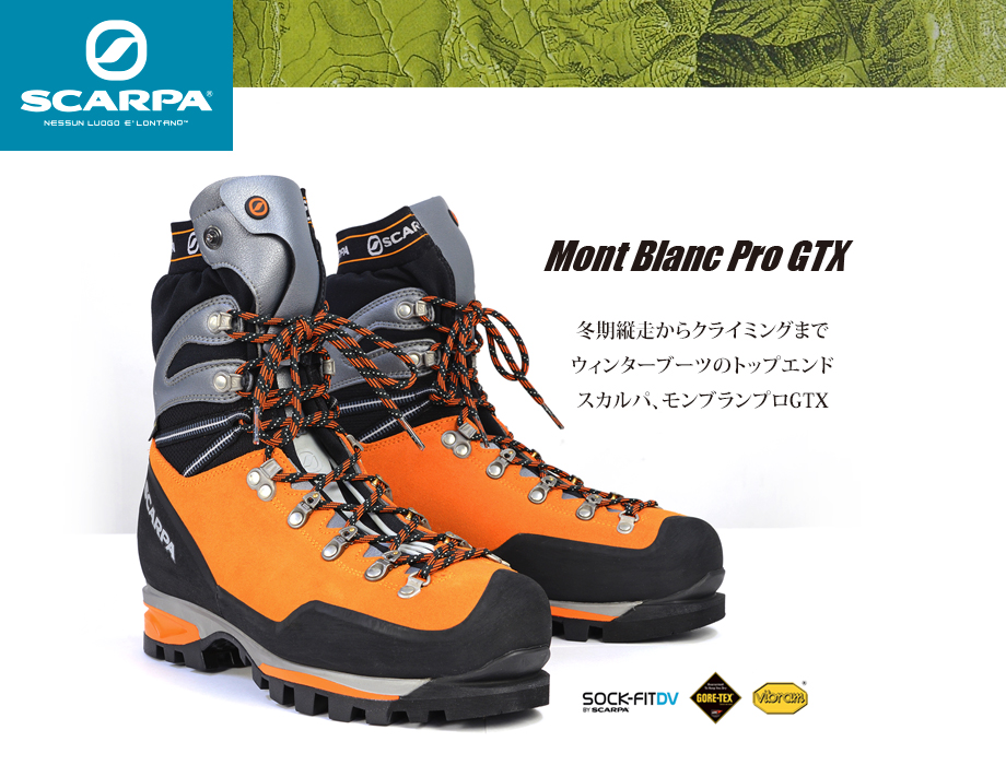 SCARPA モンブランプロ GTX-